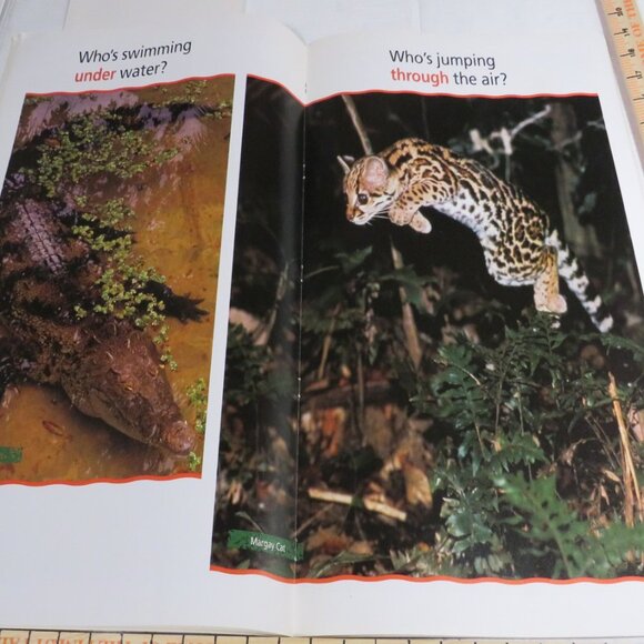 Up, Down, All Around BIG BOOK (almost 2 feet tall) with teacher pages CLASSROOM - Picture 5 of 14